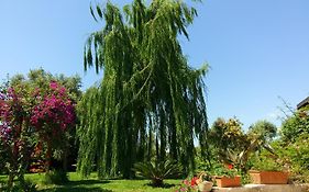 La Casa Dei Sogni